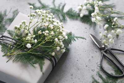 Close-up of flowers and plants on table