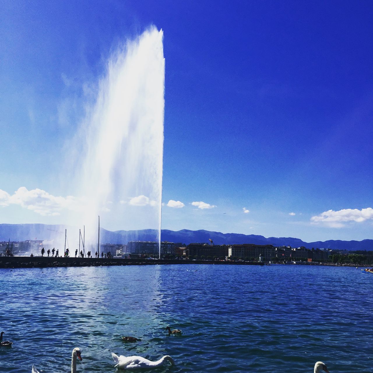 water, blue, waterfront, built structure, architecture, sky, sea, building exterior, city, rippled, river, cityscape, sunlight, day, nature, cloud, outdoors, no people, travel destinations, bird