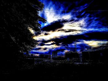 Low angle view of silhouette trees against sky at night