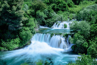 Scenic view of waterfall in forest