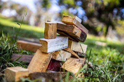 Close-up of wooden post