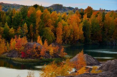 Scenic view of lake by trees during autumn