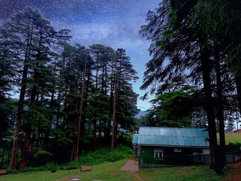 Low angle view of trees and house in forest against sky