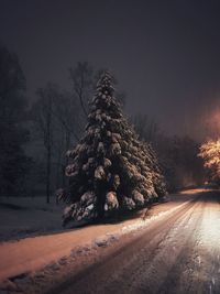 Snow covered road amidst trees against sky during winter