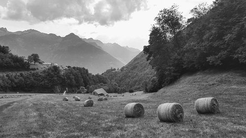 Panoramic shot of hay bales on field against sky