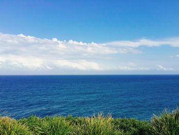 Scenic view of blue sea against sky