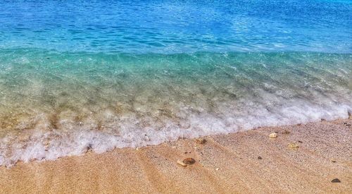 Scenic view of beach