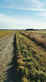 Dirt road passing through grassy field