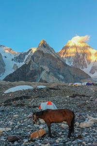 Camping tents at concordia camp, broadpeak mountain, k2 base camp, pakistan