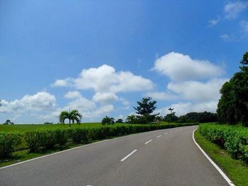 Empty road along trees