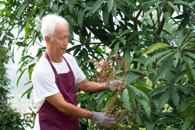 Side view of farmer standing by plants