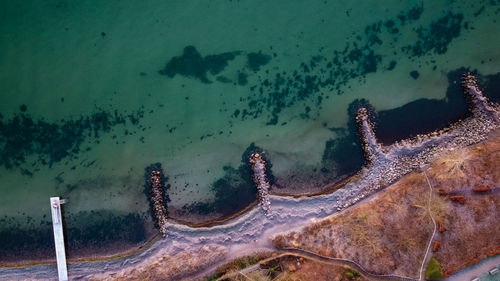 High angle view of starfish on beach