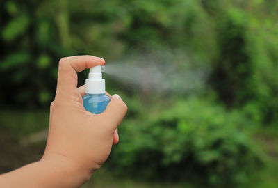 Close-up of hand holding plant against blurred background