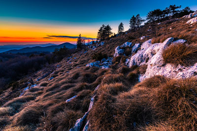 Scenic view of landscape against sky during sunset