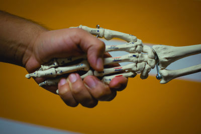 Close-up of human hand