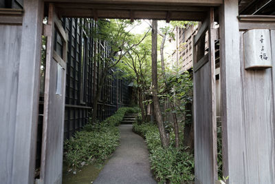 Narrow footpath along buildings