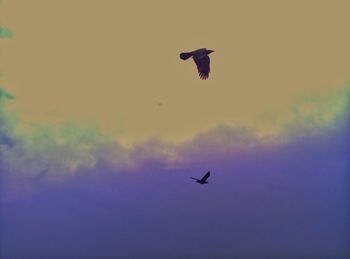 Low angle view of silhouette bird flying against sky during sunset