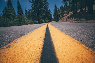 Surface level of road along trees