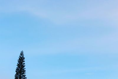 Low angle view of trees against clear blue sky