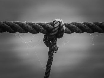Close-up of water drop on rope against sky