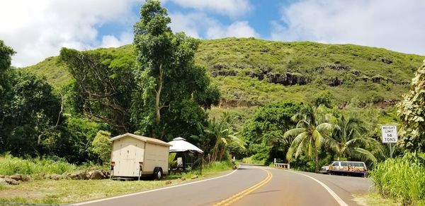 Road amidst trees and plants against sky