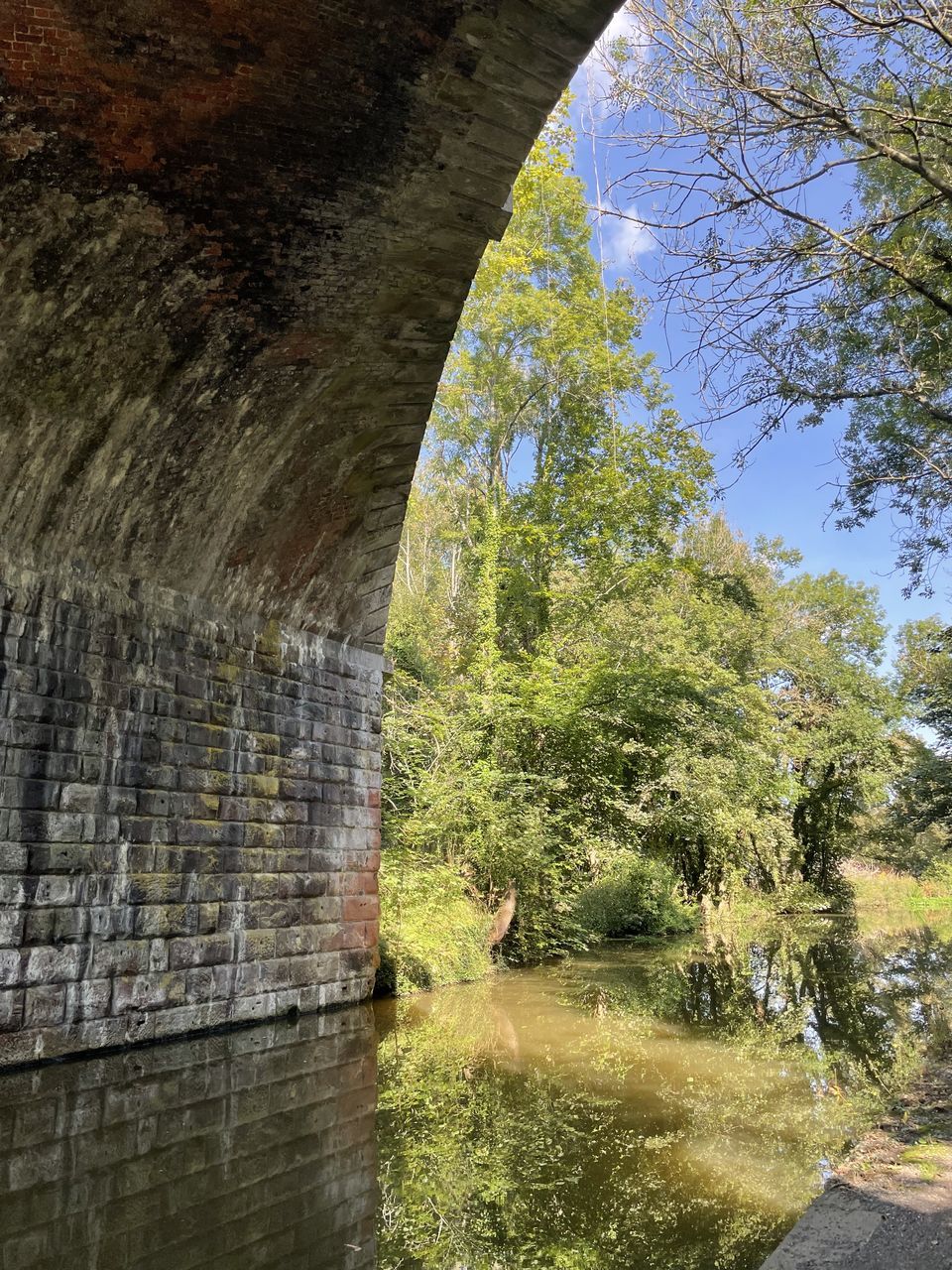 tree, plant, nature, wall, day, no people, rock, autumn, sky, architecture, growth, outdoors, sunlight, built structure, leaf, beauty in nature, low angle view, tranquility, reflection, waterway, terrain, footpath