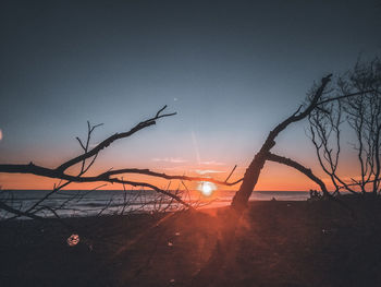 Silhouette bare trees against sky during sunset