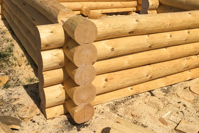 Stack of logs in forest