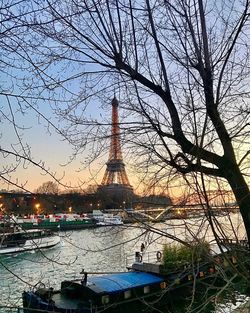 Bare trees in city against sky during sunset