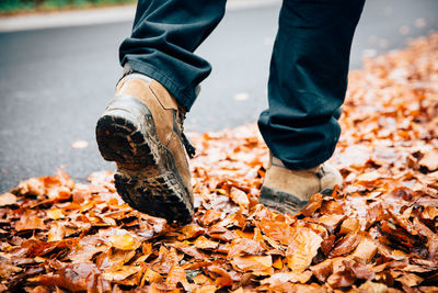 Low section of man walking on dry leaves