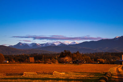 Scenic view of field and mountains against blue sky