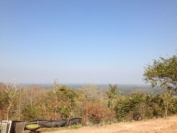 Plants growing on land against clear blue sky