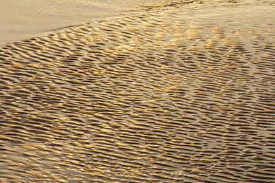 Full frame shot of sand