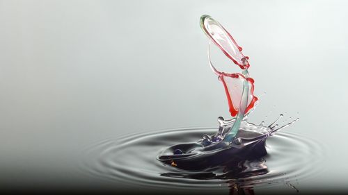 Red drop splashing on water