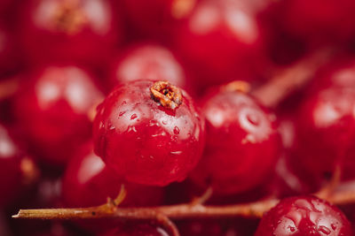 Close-up of cherries