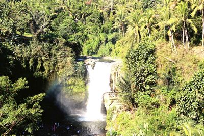 Scenic view of waterfall