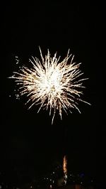 Low angle view of firework display against sky at night