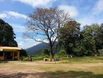 Trees on field against sky