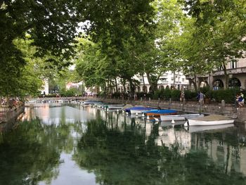 Swimming pool by trees against sky