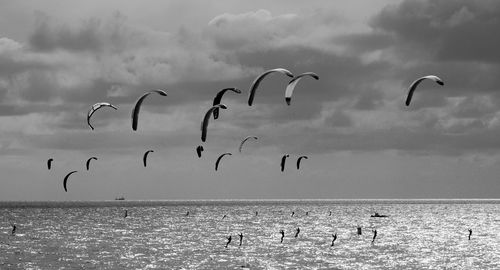 Flock of birds flying over sea against sky