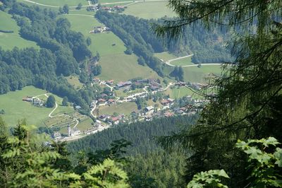 High angle view of trees on landscape