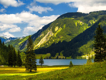 Scenic view of lake by trees against sky