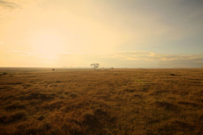 Scenic view of field against sky during sunset