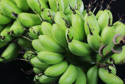 Close-up of fruits for sale in market