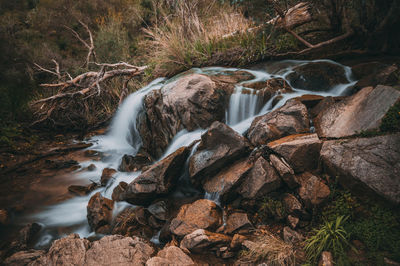 View of waterfall in forest