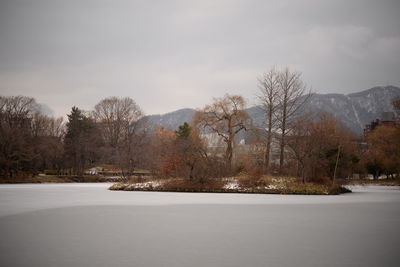 Bare trees on snow covered landscape against sky