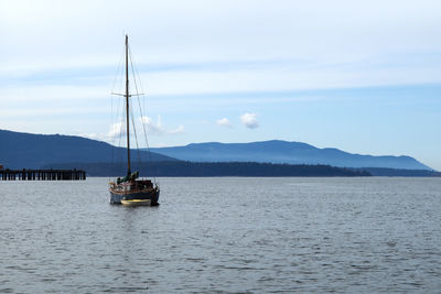 Sailboats sailing on sea against sky