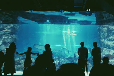 Silhouette people in aquarium