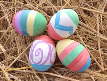 Close-up of multi colored eggs in nest