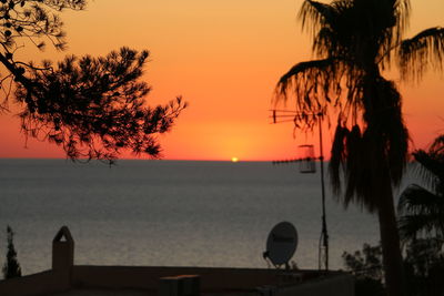 Silhouette of palm tree at beach during sunset